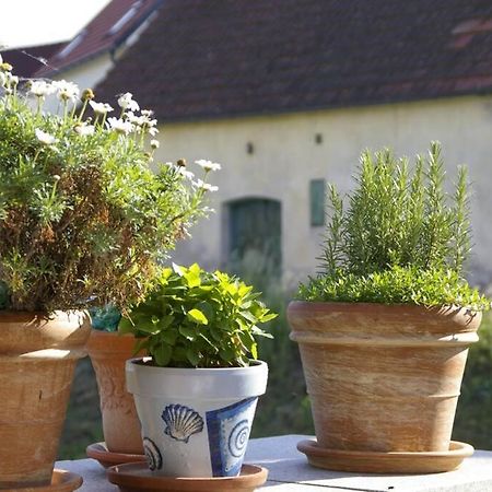 Ferienwohnung Sachsenberg Keine Monteure Hadersdorf am Kamp Dış mekan fotoğraf