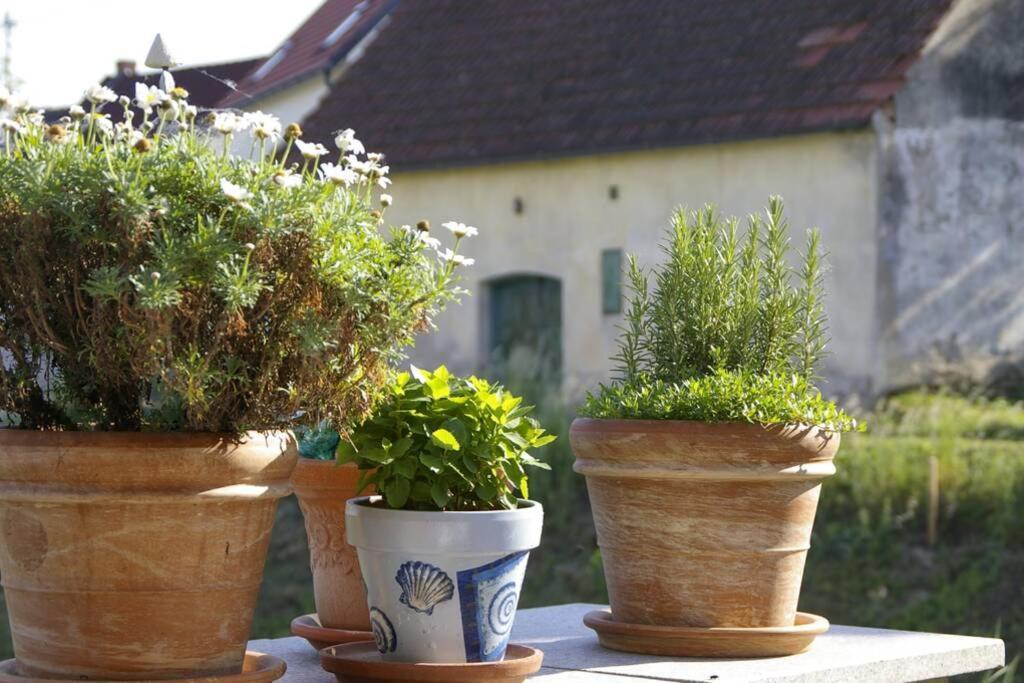 Ferienwohnung Sachsenberg Keine Monteure Hadersdorf am Kamp Dış mekan fotoğraf